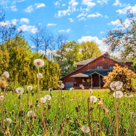 Amigosranch Villa Kruševac Kültér fotó
