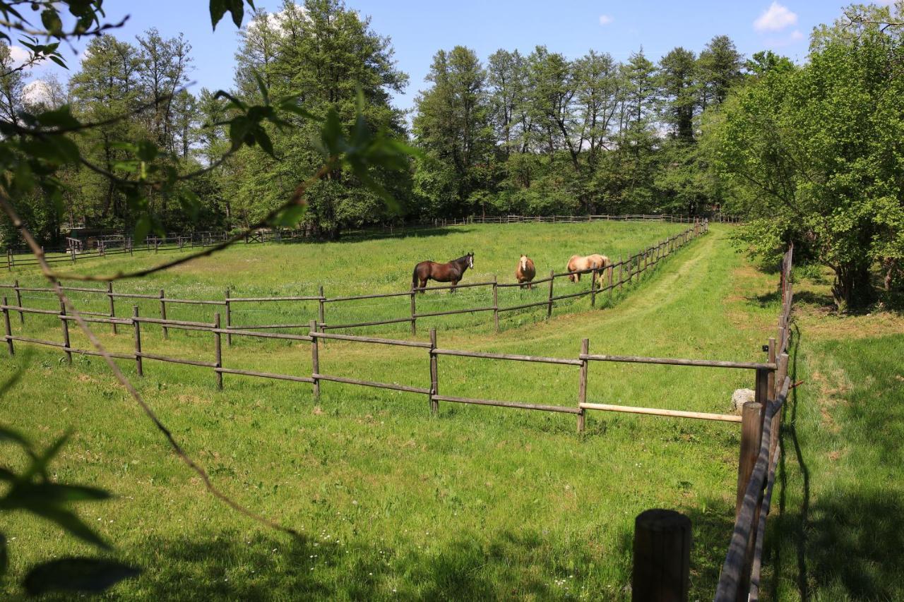 Amigosranch Villa Kruševac Kültér fotó