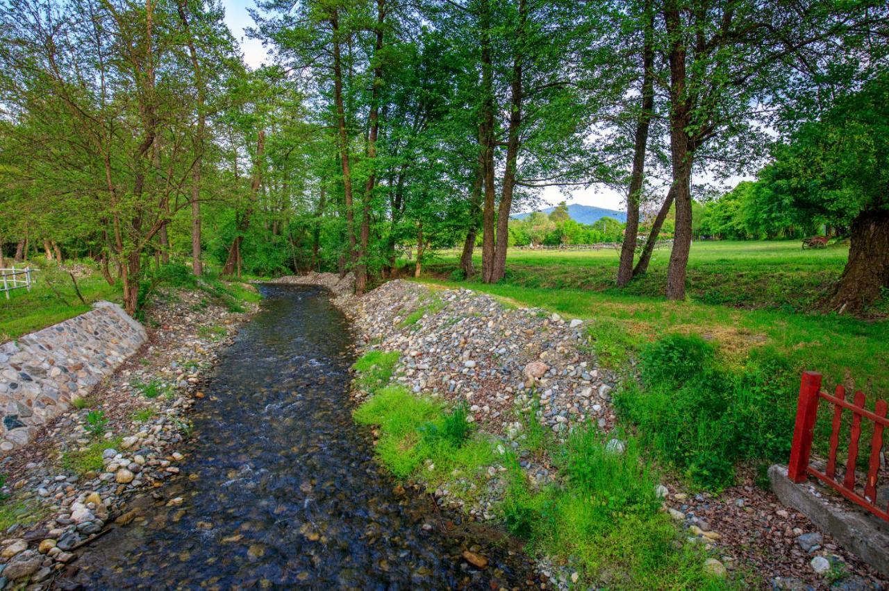 Amigosranch Villa Kruševac Kültér fotó